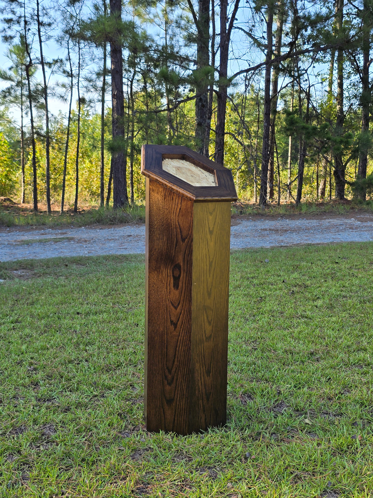 Sloped Top Hexagon Taxidermy Pedestal – White Oak with Walnut Stain
