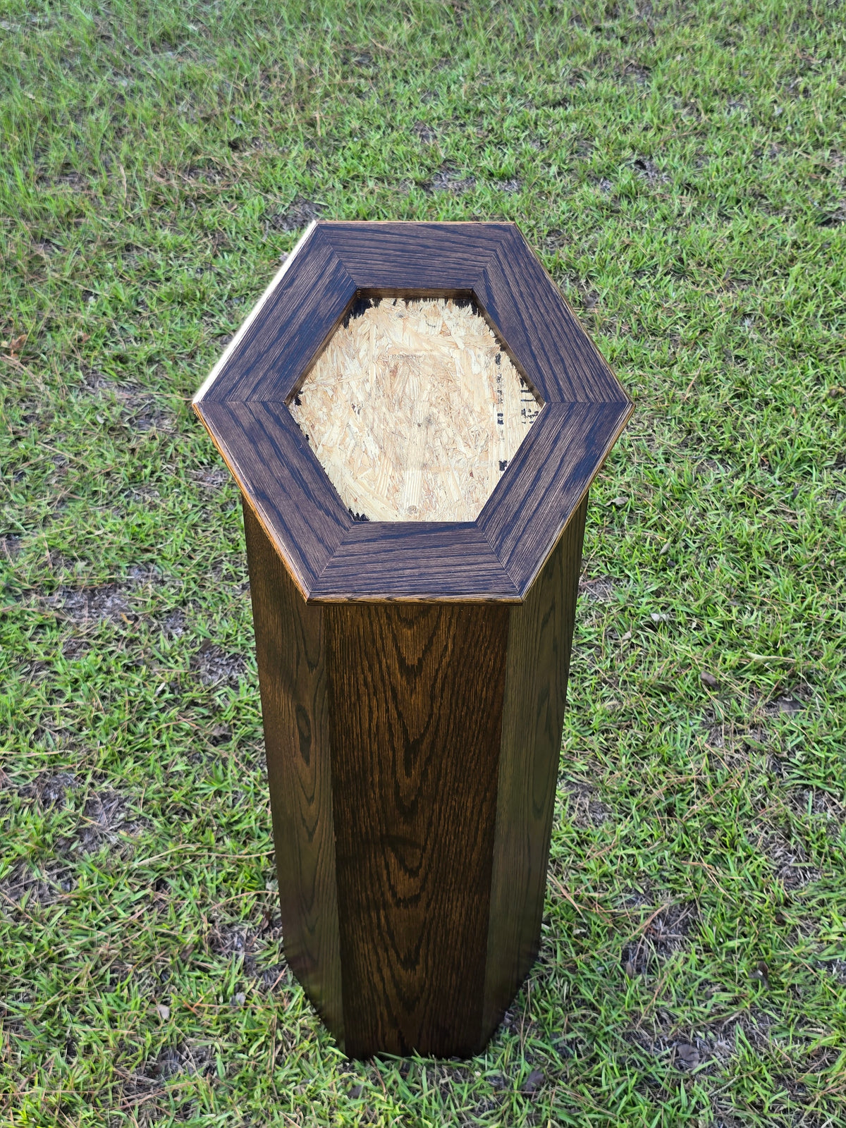 Sloped Top Hexagon Taxidermy Pedestal – White Oak with Walnut Stain