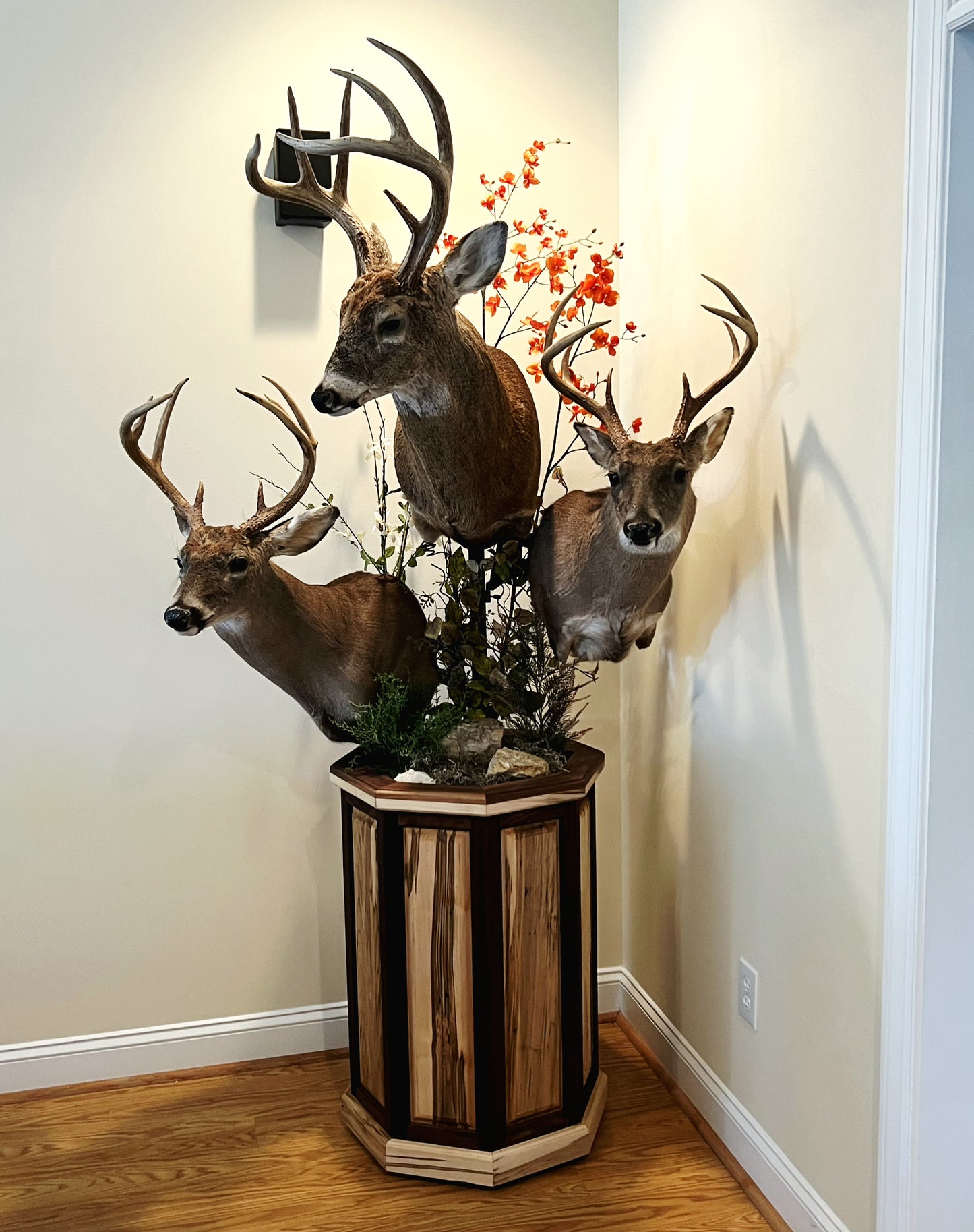 Octagon Pedestal - Walnut & Ambrosia Maple